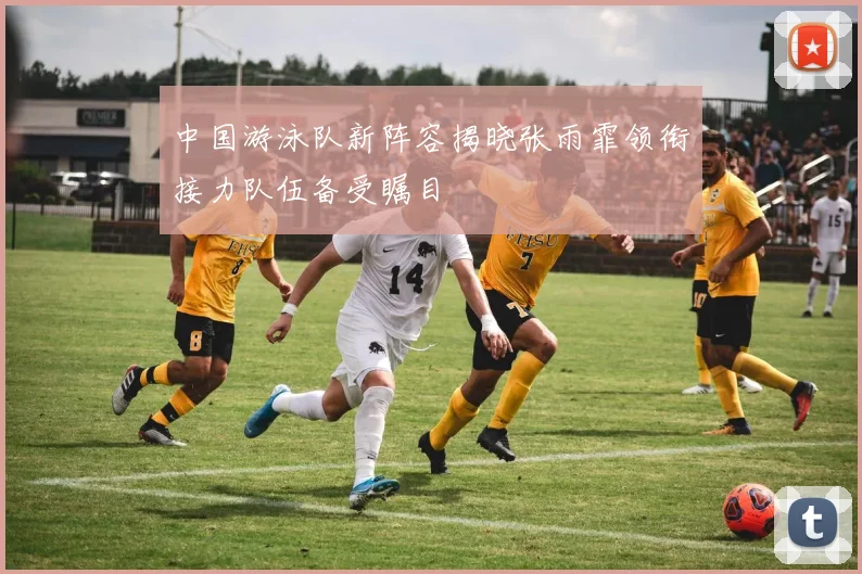 中国游泳队新阵容揭晓张雨霏领衔接力队伍备受瞩目