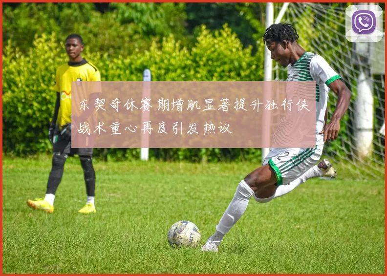 东契奇休赛期增肌显著提升独行侠战术重心再度引发热议